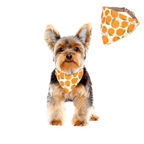 HDKUW Halstuch-Halsband für kleine Hunde, lustige Früchte, verstellbar, für kleine und mittelgroße Hunde (Halsumfang 25,4–38,1 cm), Orange von HDKUW