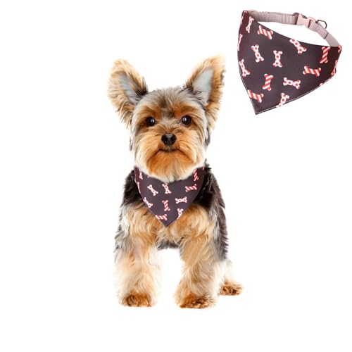 HDKUW Halstuch-Halsband für kleine Hunde, lustige Früchte, verstellbar, für kleine und mittelgroße Hunde (Halsumfang 25,4–38,1 cm), schwarzes Knochen von HDKUW