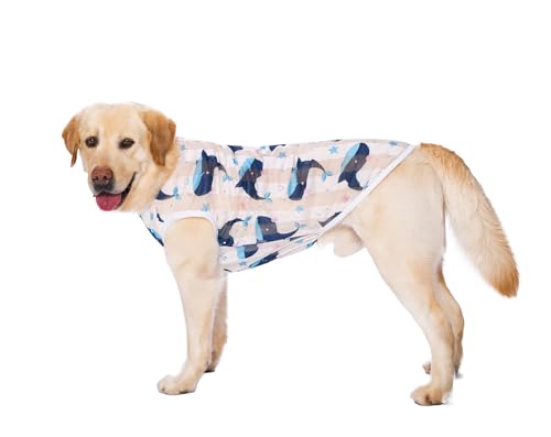 HDKUW Haustierkleidung, Sommer-T-Shirt, kühl, atmungsaktiv, Sonnenschutz, Hundeweste, Kleidung, Outfit für mittelgroße und große Hunde, Weißwal, Größe 5XL HDKUW Haustierkleidung, Sommer-T-Shirt, kühl, atmungsaktiv, Sonnenschutz, Hundeweste, Kleidung, Outfit für mittelgroße und große Hunde, Weißwal, Größe 5XL von HDKUW