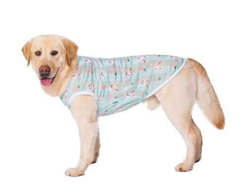 HDKUW Haustierkleidung, Sommer-T-Shirt, kühl, atmungsaktiv, Sonnenschutz, Hundeweste, Outfit für mittelgroße und große Hunde, hellgrünes Kaninchen, Größe 3XL HDKUW Haustierkleidung, Sommer-T-Shirt, kühl, atmungsaktiv, Sonnenschutz, Hundeweste, Outfit für mittelgroße und große Hunde, hellgrünes Kaninchen, Größe 3XL von HDKUW