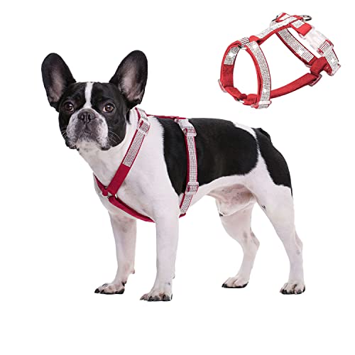 HDKUW Hundegeschirr, glänzend, Strass, kein Ziehen, verstellbare Schnalle, D-Ring-Geschirr für kleine, mittelgroße Hunde (Rot XS) von HDKUW