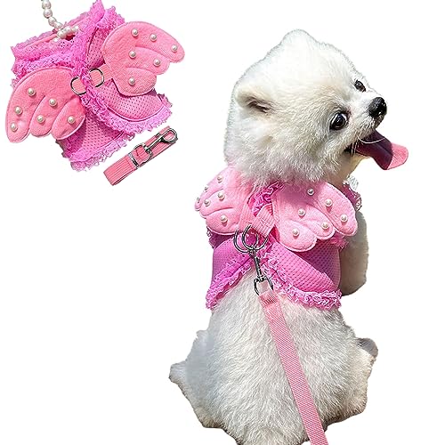 HDKUW Hundegeschirr mit Leine, Hundegeschirr mit Engelsflügeln, Haustiergeschirrkleid für Welpen, kleine, mittelgroße Hunde, Rosa, L von HDKUW