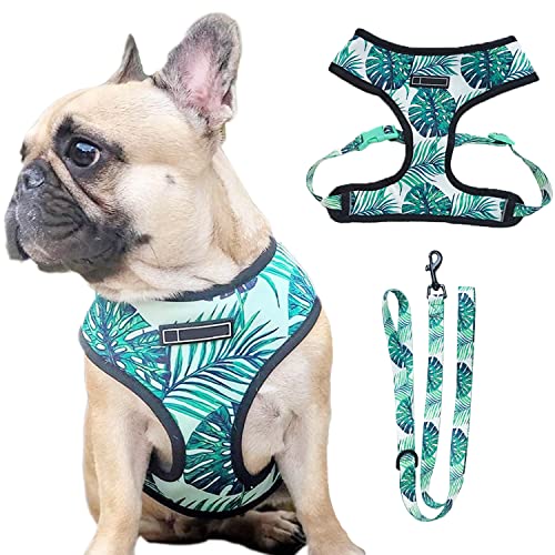 HDKUW Hundegeschirr und Leine Set, Verstellbare Hundeweste Geschirr Set, Outdoor Walking Weste Geschirr für Französische Bulldogge und Welpe Kleine Mittlere Große Hund XL von HDKUW