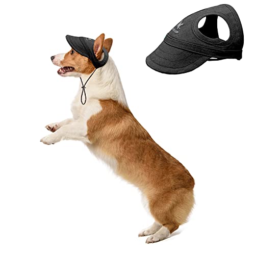 HDKUW Hundemütze mit Ohrlöchern, Baseballkappe für draußen, verstellbar, für Sommer, Reisen, Sport, für kleine und mittelgroße Hunde, Schwarz, Größe S HDKUW Hundemütze mit Ohrlöchern, Baseballkappe für draußen, verstellbar, für Sommer, Reisen, Sport, für kleine und mittelgroße Hunde, Schwarz, Größe S von HDKUW
