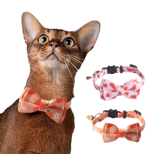 HDKUW Katzenhalsband mit Fliege, Glocke, Sommerfrucht, Katzenhalsband für männliche Frauen, weiche Baumwolle, niedliches Haustierhalsband, ideal für Welpen, Katzen, Mädchen, Jungen, Wassermelone, HDKUW Katzenhalsband mit Fliege, Glocke, Sommerfrucht, Katzenhalsband für männliche Frauen, weiche Baumwolle, niedliches Haustierhalsband, ideal für Welpen, Katzen, Mädchen, Jungen, Wassermelone, von HDKUW