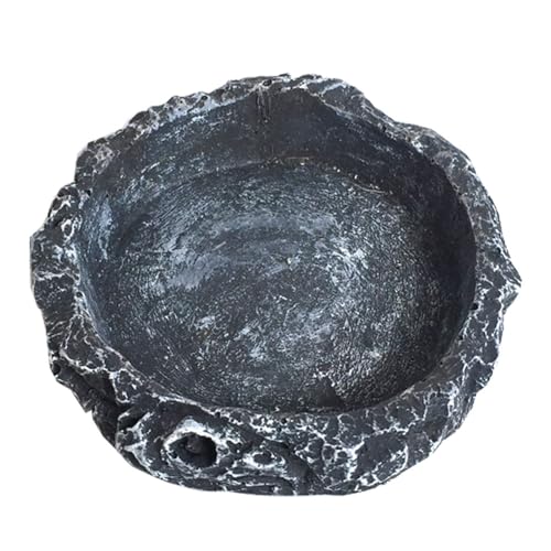 1 x Wassernapf für Reptilien, Haustiere, Futternapf, Wassernapf, Teller, Futternapf, Reptilien, Futternapf, Wasserschale, Stein, langlebig, für Schildkröte, Eidechse 1 x Wassernapf für Reptilien, Haustiere, Futternapf, Wassernapf, Teller, Futternapf, Reptilien, Futternapf, Wasserschale, Stein, langlebig, für Schildkröte, Eidechse von HDONONGYIRO
