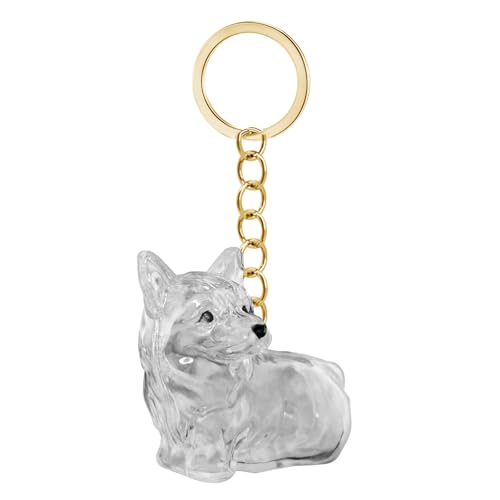 Clear Dog Fells Storage Box Haarsammler Wasserdichtes Andenken Der Schlüsselbund Für Tierhalter Um Kostbarem Gedächtnis Hundeltern Sentimental Travel Accessoires Zu Erhalten Clear Dog Fells Storage Box Haarsammler Wasserdichtes Andenken Der Schlüsselbund Für Tierhalter Um Kostbarem Gedächtnis Hundeltern Sentimental Travel Accessoires Zu Erhalten von HDOYTXXM