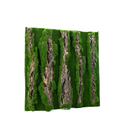 HDOYTXXM Dekoratives Baumrinden Hintergrundblatt Für Terrarien Landschaft Wasserabweisend Und Natürlicher Hintergrund Für Reptilienbox von HDOYTXXM