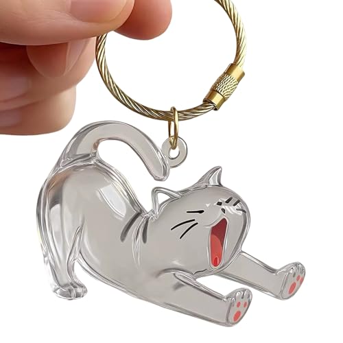 Reise Verwenden Haustier Haarsammler Klare Cartoon Cats Anhänger Design Haustier Pelzspeicher Behälter Für Gedenkkatzen Keepsakes Container von HDOYTXXM