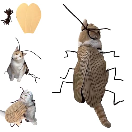 Cat Cockroach Clothing DIY Kit, Katze Kakerlake Kleidung DIY Kit, Lustig Katzen Kleidung Halloween Katzenkostüm Cat Clothes Für Katzen Und Kleine Hunde (1 STK) von HDQQEU