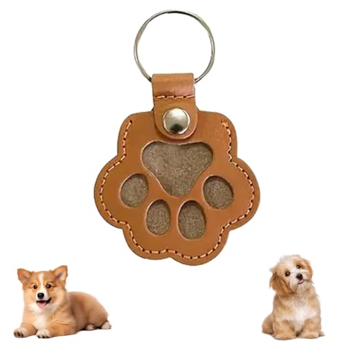 Cat Hair Keychain, Katzenhaar SchlüSselanhäNger, Transparent Acryl Cat Hair Storage Box Pendants, KatzenanhäNger Katze Schlüsselanhänger, Pet Haar Erinnerungsbox Zum Aufsammeln Tierhaaren (#09) von HDQQEU