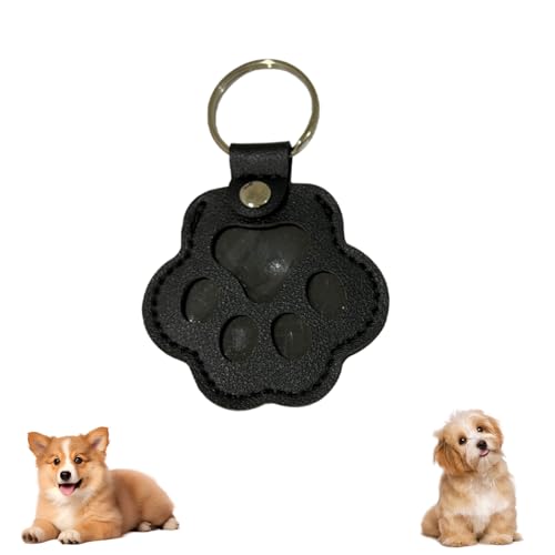 Cat Hair Keychain, Katzenhaar SchlüSselanhäNger, Transparent Acryl Cat Hair Storage Box Pendants, KatzenanhäNger Katze Schlüsselanhänger, Pet Haar Erinnerungsbox Zum Aufsammeln Tierhaaren (#11) von HDQQEU