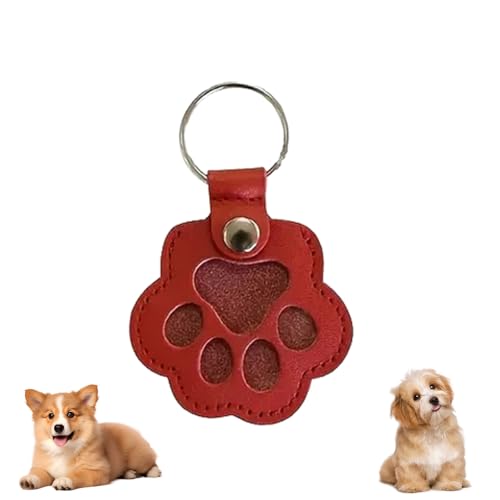 Cat Hair Keychain, Katzenhaar SchlüSselanhäNger, Transparent Acryl Cat Hair Storage Box Pendants, KatzenanhäNger Katze Schlüsselanhänger, Pet Haar Erinnerungsbox Zum Aufsammeln Tierhaaren (#12) von HDQQEU