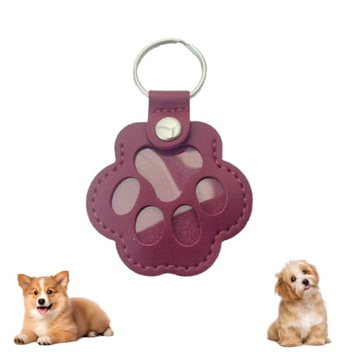 Cat Hair Keychain, Katzenhaar SchlüSselanhäNger, Transparent Acryl Cat Hair Storage Box Pendants, KatzenanhäNger Katze Schlüsselanhänger, Pet Haar Erinnerungsbox Zum Aufsammeln Tierhaaren (#13) von HDQQEU