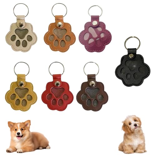 Cat Hair Keychain, Katzenhaar SchlüSselanhäNger, Transparent Acryl Cat Hair Storage Box Pendants, KatzenanhäNger Katze Schlüsselanhänger, Pet Haar Erinnerungsbox Zum Aufsammeln Tierhaaren (7 STK) von HDQQEU