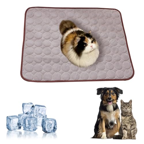 HDQQEU Kühlmatte Für Hund und Katzen, Kühldecke Selbstkühlende Hundematte, Waschbare Haustier Kühlende Decke Kühlkissen Ohne Gel Für Katzen und Hunde (Braun, 60 * 50CM) von HDQQEU