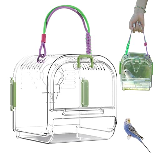 Vogel Transportbox, Tragbarer Vogel TragebehäLter, Atmungsaktive Bird Transport Cage, Transparent VogelkäFig Transportbox FüR KleinvöGel Und Wellensittiche (Grün, Nur Box) von HDQQEU