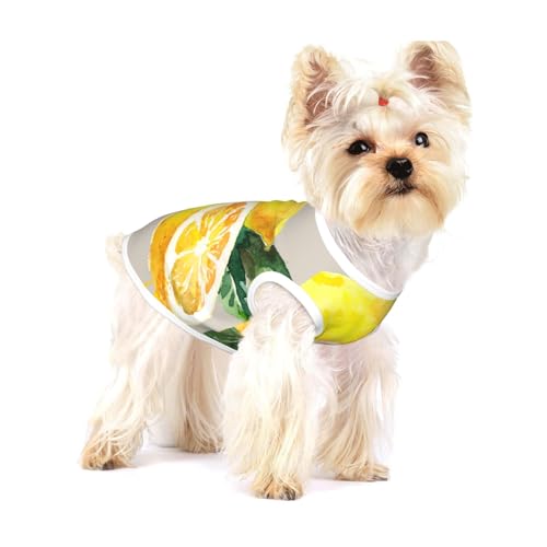 Aquarell Sommer Obst Zitronen Slich Blätter,Ärmelloses Haustier-T-Shirt aus Baumwolle, weich, dehnbar, atmungsaktive Weste für Welpen,M Aquarell Sommer Obst Zitronen Slich Blätter,Ärmelloses Haustier-T-Shirt aus Baumwolle, weich, dehnbar, atmungsaktive Weste für Welpen,M von HDTVTV
