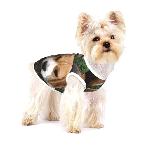 Beagle-Welpen,Ärmelloses Haustier-T-Shirt aus Baumwolle, weich, dehnbar, atmungsaktive Weste für Welpen,S Beagle-Welpen,Ärmelloses Haustier-T-Shirt aus Baumwolle, weich, dehnbar, atmungsaktive Weste für Welpen,S von HDTVTV