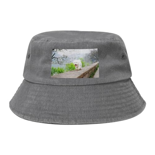 Bichon Frise Park Haustiere Hunde Bichon Frise Hunde, Bucket Hat Sonnenhut Erwachsene Fischerhut Läufermütze Fischerhüte Bichon Frise Park Haustiere Hunde Bichon Frise Hunde, Bucket Hat Sonnenhut Erwachsene Fischerhut Läufermütze Fischerhüte von HDTVTV