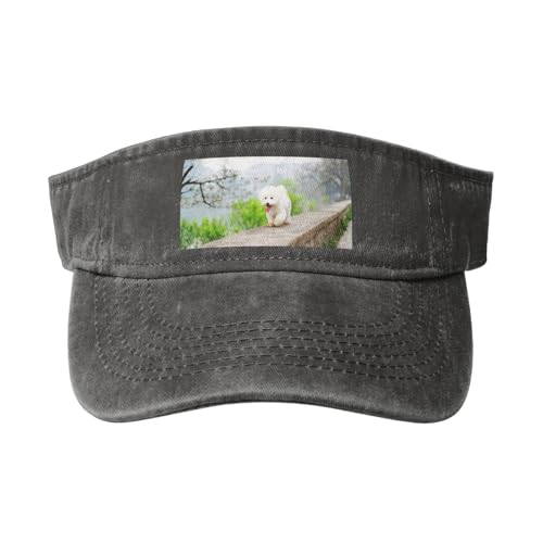Bichon Frise Park Haustiere Hunde Bichon Frise Hunde, Verstellbare Leere Baseballkappe, Sport-Sonnenblendenhüte, Unisex-Sonnenschutz-Schirmkappe Bichon Frise Park Haustiere Hunde Bichon Frise Hunde, Verstellbare Leere Baseballkappe, Sport-Sonnenblendenhüte, Unisex-Sonnenschutz-Schirmkappe von HDTVTV