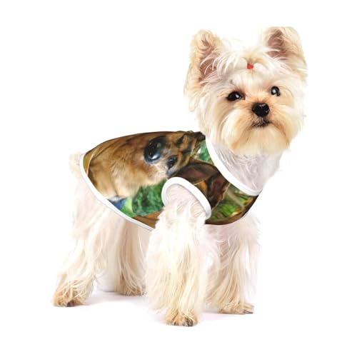 Deutscher Schäferhund Druck,Ärmelloses Haustier-T-Shirt aus Baumwolle, weich, dehnbar, atmungsaktive Weste für Welpen,L Deutscher Schäferhund Druck,Ärmelloses Haustier-T-Shirt aus Baumwolle, weich, dehnbar, atmungsaktive Weste für Welpen,L von HDTVTV