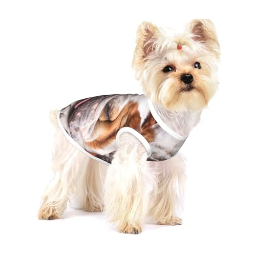 Englische Bulldoggen Maulkorb Haustiere Schlafende Hunde,Ärmelloses Haustier-T-Shirt aus Baumwolle, weich, dehnbar, atmungsaktive Weste für Welpen,L Englische Bulldoggen Maulkorb Haustiere Schlafende Hunde,Ärmelloses Haustier-T-Shirt aus Baumwolle, weich, dehnbar, atmungsaktive Weste für Welpen,L von HDTVTV