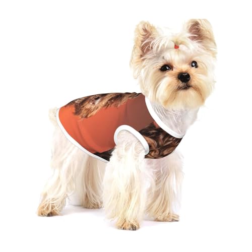 Entzückender Cockapoo-Hund,Ärmelloses Haustier-T-Shirt aus Baumwolle, weich, dehnbar, atmungsaktive Weste für Welpen,S Entzückender Cockapoo-Hund,Ärmelloses Haustier-T-Shirt aus Baumwolle, weich, dehnbar, atmungsaktive Weste für Welpen,S von HDTVTV