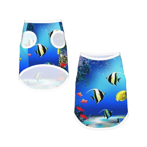 Fische Pflanzen Tropische Meerestiere Natur Leben Algen,Ärmelloses Haustier-T-Shirt aus Baumwolle, weich, dehnbar, atmungsaktive Weste für Welpen,M Fische Pflanzen Tropische Meerestiere Natur Leben Algen,Ärmelloses Haustier-T-Shirt aus Baumwolle, weich, dehnbar, atmungsaktive Weste für Welpen,M von HDTVTV