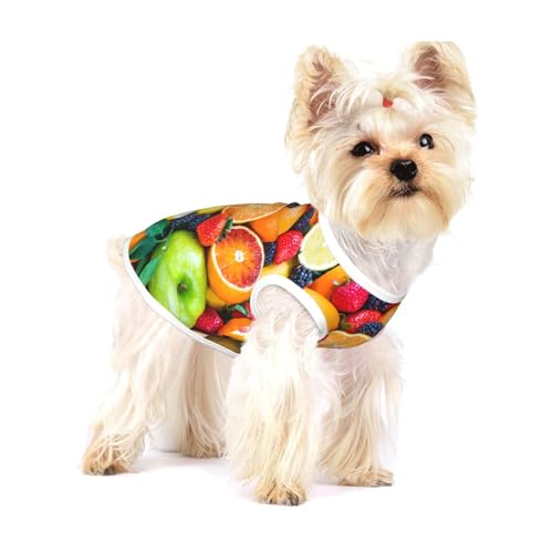 Frisches Obst,Ärmelloses Haustier-T-Shirt aus Baumwolle, weich, dehnbar, atmungsaktive Weste für Welpen,S Frisches Obst,Ärmelloses Haustier-T-Shirt aus Baumwolle, weich, dehnbar, atmungsaktive Weste für Welpen,S von HDTVTV