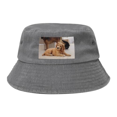 HDTVTV Cocker Spaniel Welpe Kleine Spaniel Hunde Haustiere, Bucket Hat Sonnenhut Erwachsene Fischerhut Läufermütze Fischerhüte HDTVTV Cocker Spaniel Welpe Kleine Spaniel Hunde Haustiere, Bucket Hat Sonnenhut Erwachsene Fischerhut Läufermütze Fischerhüte von HDTVTV