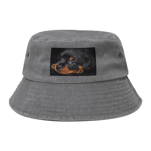 HDTVTV Rottweiler-Welpen, Haustiere, kleine Rottweiler-Hunde, Bucket Hat Sonnenhut Erwachsene Fischerhut Läufermütze Fischerhüte HDTVTV Rottweiler-Welpen, Haustiere, kleine Rottweiler-Hunde, Bucket Hat Sonnenhut Erwachsene Fischerhut Läufermütze Fischerhüte von HDTVTV