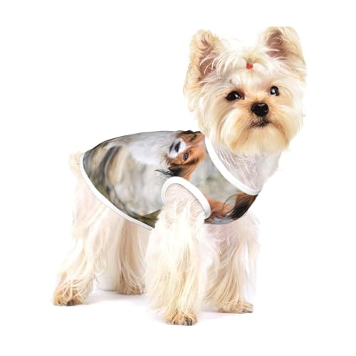 Hunde im Wasser Fluss braun weiße Hunde Paniel,Ärmelloses Haustier-T-Shirt aus Baumwolle, weich, dehnbar, atmungsaktive Weste für Welpen,L Hunde im Wasser Fluss braun weiße Hunde Paniel,Ärmelloses Haustier-T-Shirt aus Baumwolle, weich, dehnbar, atmungsaktive Weste für Welpen,L von HDTVTV