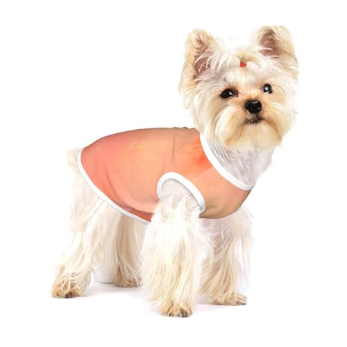 Koralle Aquarelltöne Pink Orange,Ärmelloses Haustier-T-Shirt aus Baumwolle, weich, dehnbar, atmungsaktive Weste für Welpen,M Koralle Aquarelltöne Pink Orange,Ärmelloses Haustier-T-Shirt aus Baumwolle, weich, dehnbar, atmungsaktive Weste für Welpen,M von HDTVTV