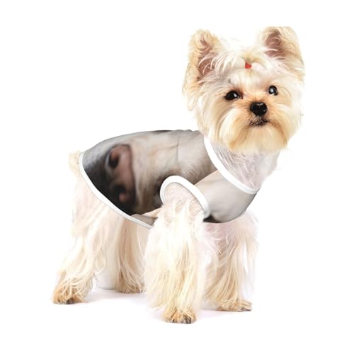 Labrador-Hund,Ärmelloses Haustier-T-Shirt aus Baumwolle, weich, dehnbar, atmungsaktive Weste für Welpen,M Labrador-Hund,Ärmelloses Haustier-T-Shirt aus Baumwolle, weich, dehnbar, atmungsaktive Weste für Welpen,M von HDTVTV