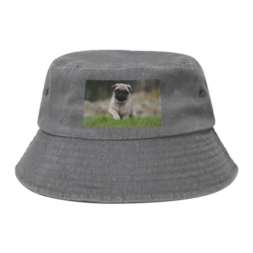 Mops Bokeh Welpen Hunde Rasen Haustiere Mops, Bucket Hat Sonnenhut Erwachsene Fischerhut Läufermütze Fischerhüte Mops Bokeh Welpen Hunde Rasen Haustiere Mops, Bucket Hat Sonnenhut Erwachsene Fischerhut Läufermütze Fischerhüte von HDTVTV