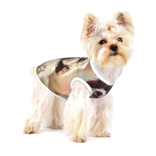 Shih Tzu Hund,Ärmelloses Haustier-T-Shirt aus Baumwolle, weich, dehnbar, atmungsaktive Weste für Welpen,M Shih Tzu Hund,Ärmelloses Haustier-T-Shirt aus Baumwolle, weich, dehnbar, atmungsaktive Weste für Welpen,M von HDTVTV