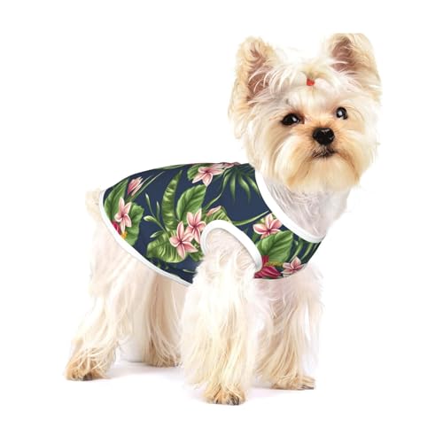 Tropische Blumen Frangipani Hibiskus,Ärmelloses Haustier-T-Shirt aus Baumwolle, weich, dehnbar, atmungsaktive Weste für Welpen,S Tropische Blumen Frangipani Hibiskus,Ärmelloses Haustier-T-Shirt aus Baumwolle, weich, dehnbar, atmungsaktive Weste für Welpen,S von HDTVTV
