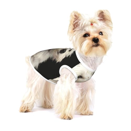 West Highland Terrier mit Halsband,Ärmelloses Haustier-T-Shirt aus Baumwolle, weich, dehnbar, atmungsaktive Weste für Welpen,L West Highland Terrier mit Halsband,Ärmelloses Haustier-T-Shirt aus Baumwolle, weich, dehnbar, atmungsaktive Weste für Welpen,L von HDTVTV