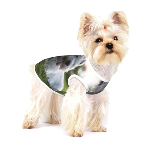 Westie Lawn West Highland White Terrier Hunde,Ärmelloses Haustier-T-Shirt aus Baumwolle, weich, dehnbar, atmungsaktive Weste für Welpen,M Westie Lawn West Highland White Terrier Hunde,Ärmelloses Haustier-T-Shirt aus Baumwolle, weich, dehnbar, atmungsaktive Weste für Welpen,M von HDTVTV