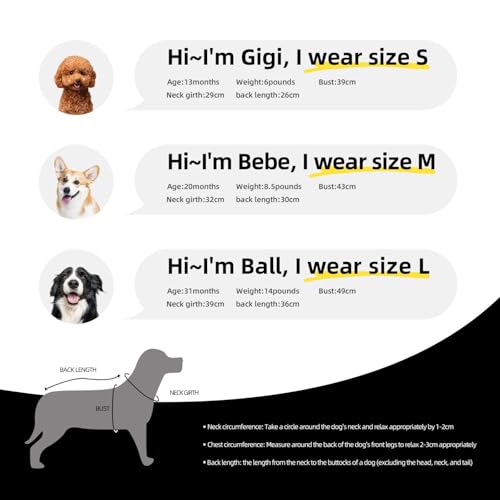 Zwei Siberian Husky Hunde,Ärmelloses Haustier-T-Shirt aus Baumwolle, weich, dehnbar, atmungsaktive Weste für Welpen,L Zwei Siberian Husky Hunde,Ärmelloses Haustier-T-Shirt aus Baumwolle, weich, dehnbar, atmungsaktive Weste für Welpen,L von HDTVTV