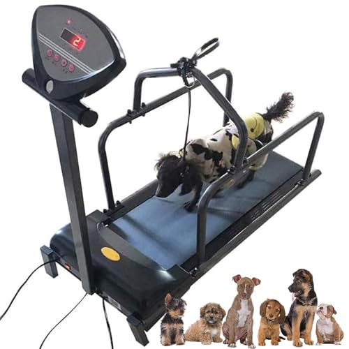 Dog Training Band for Large Dogs/Medium Dogs/Small Dogs, Indoor Pet Running Machine with Display Screen,Dog Treadmill , Running Area: 280*850MM, Speed Range: 1-6 km, Supports Up to 176 lbs / 80kg Dog Training Band for Large Dogs/Medium Dogs/Small Dogs, Indoor Pet Running Machine with Display Screen,Dog Treadmill , Running Area: 280*850MM, Speed Range: 1-6 km, Supports Up to 176 lbs / 80kg von HDaspijh