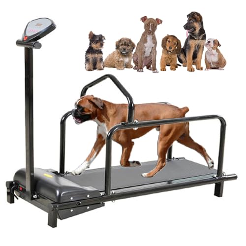 Dog Training Device for Large Dogs ,Dog Treadmill, 80 cm Long Runway, Running Training Device for Dogs Indoor and Outdoor, Display Distance, Time, Speed and Calories, Supports Up to 176 lbs / 80kg Dog Training Device for Large Dogs ,Dog Treadmill, 80 cm Long Runway, Running Training Device for Dogs Indoor and Outdoor, Display Distance, Time, Speed and Calories, Supports Up to 176 lbs / 80kg von HDaspijh