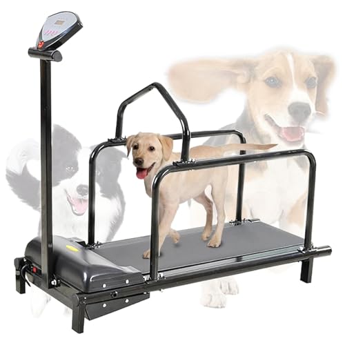 Dog Training Device for Large and Medium Dogs - Adjustable Running Machine for Healthy Pet Life,Dog Treadmill with Display Screen, Indoor Dog Exercise Treadmill for up to 176 lbs,Speed Range: 1-6 km Dog Training Device for Large and Medium Dogs - Adjustable Running Machine for Healthy Pet Life,Dog Treadmill with Display Screen, Indoor Dog Exercise Treadmill for up to 176 lbs,Speed Range: 1-6 km von HDaspijh