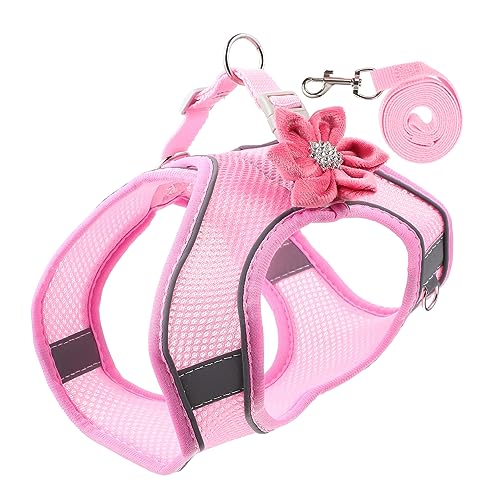 HEALEEP Front Dog Reflective Pet Mit Leine Hundeleine Für Welpen Outdoor-aktivität von HEALEEP