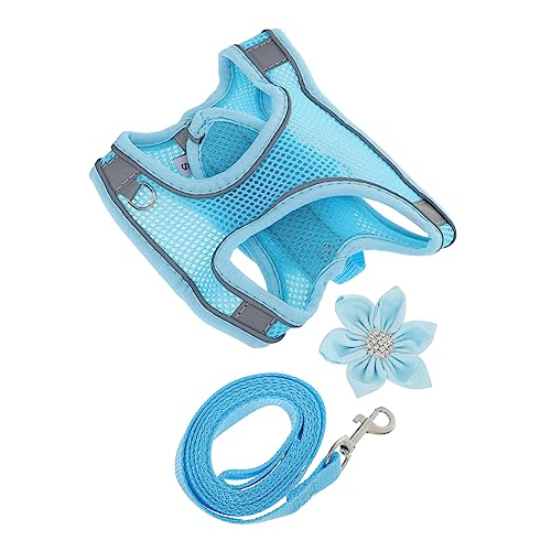 HEALEEP 2-in-1-set Aus Hund Und Leine Reflektierende Weste Zum Spazierengehen Für Outdoor-aktivitäten von HEALEEP