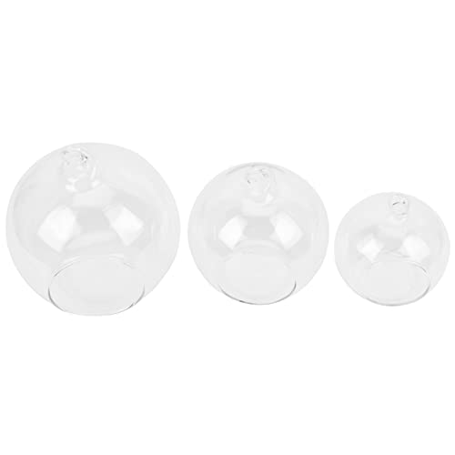 HEALEEP 3Stücke Transparente Hängende Glasvase Kugelform Terrarium für Pflanzen und Moos für Heimdekoration und DIY Mikrolandschaften HEALEEP 3Stücke Transparente Hängende Glasvase Kugelform Terrarium für Pflanzen und Moos für Heimdekoration und DIY Mikrolandschaften von HEALEEP