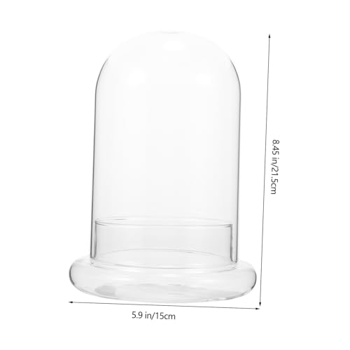 HEALEEP Große Glasglocke Cloche aus Klarem DIY Moos Terrarium für Pflanzenarrangements Dekorative Flasche für Wohnzimmer Balkon Garten Büro Stilvolle Pflanzenvitrine HEALEEP Große Glasglocke Cloche aus Klarem DIY Moos Terrarium für Pflanzenarrangements Dekorative Flasche für Wohnzimmer Balkon Garten Büro Stilvolle Pflanzenvitrine von HEALEEP