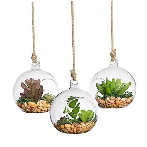HEALEEP Transparente Hängende Glaskugelvase 120mm aus Borosilikatglas für Blumen und Pflanzen 4 Stück Hängendes Terrarium für Heimdekoration HEALEEP Transparente Hängende Glaskugelvase 120mm aus Borosilikatglas für Blumen und Pflanzen 4 Stück Hängendes Terrarium für Heimdekoration von HEALEEP
