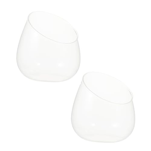 HEALLILY 2 Stück Glasvase mit Schrägem Rand Transparente Bubble Bowl Vielseitiges Terrarium für Sukkulenten Pflanzen Kerzenhalter Dekorative Pflanzschale für Zuhause und HEALLILY 2 Stück Glasvase mit Schrägem Rand Transparente Bubble Bowl Vielseitiges Terrarium für Sukkulenten Pflanzen Kerzenhalter Dekorative Pflanzschale für Zuhause und von HEALLILY